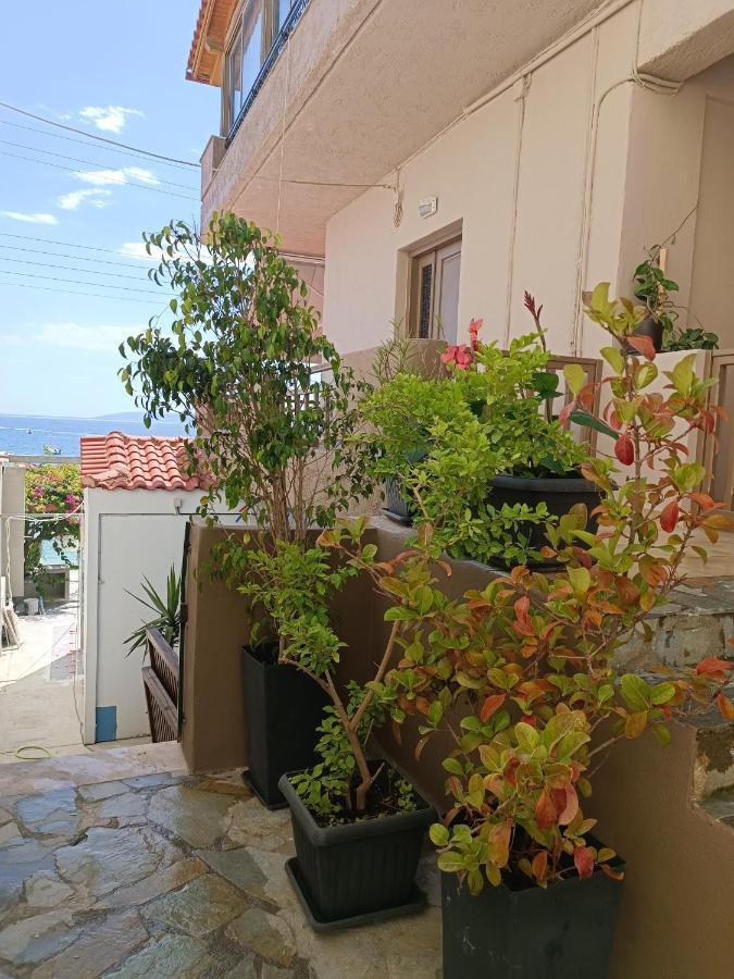 Buganvilla Sea View Apts Αγία Πελαγία  Εξωτερικό φωτογραφία